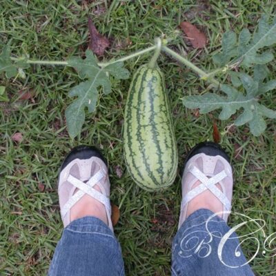 Beth Rayann Corder | Gardening with Great Expectations for Harvesting