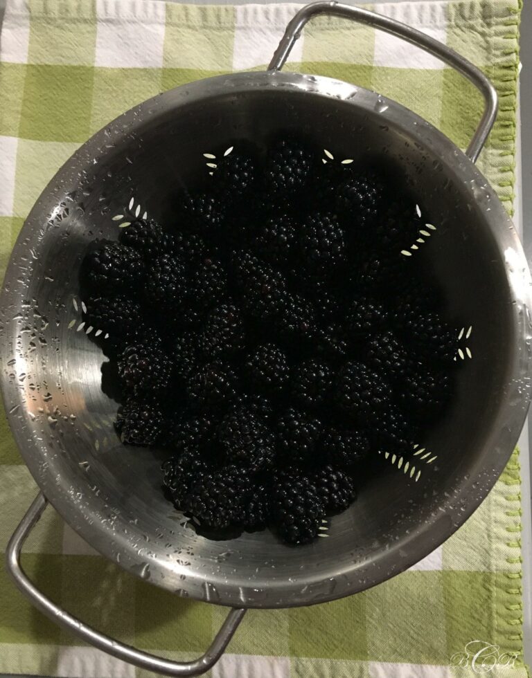 Preparing Today to Reap Good Fruit Tomorrow