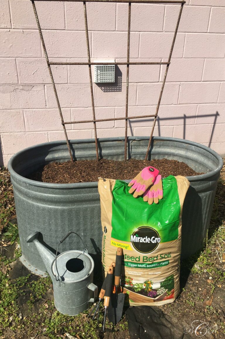 Deciding What to Plant