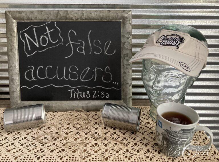 Learning to Not Be False Accusers
